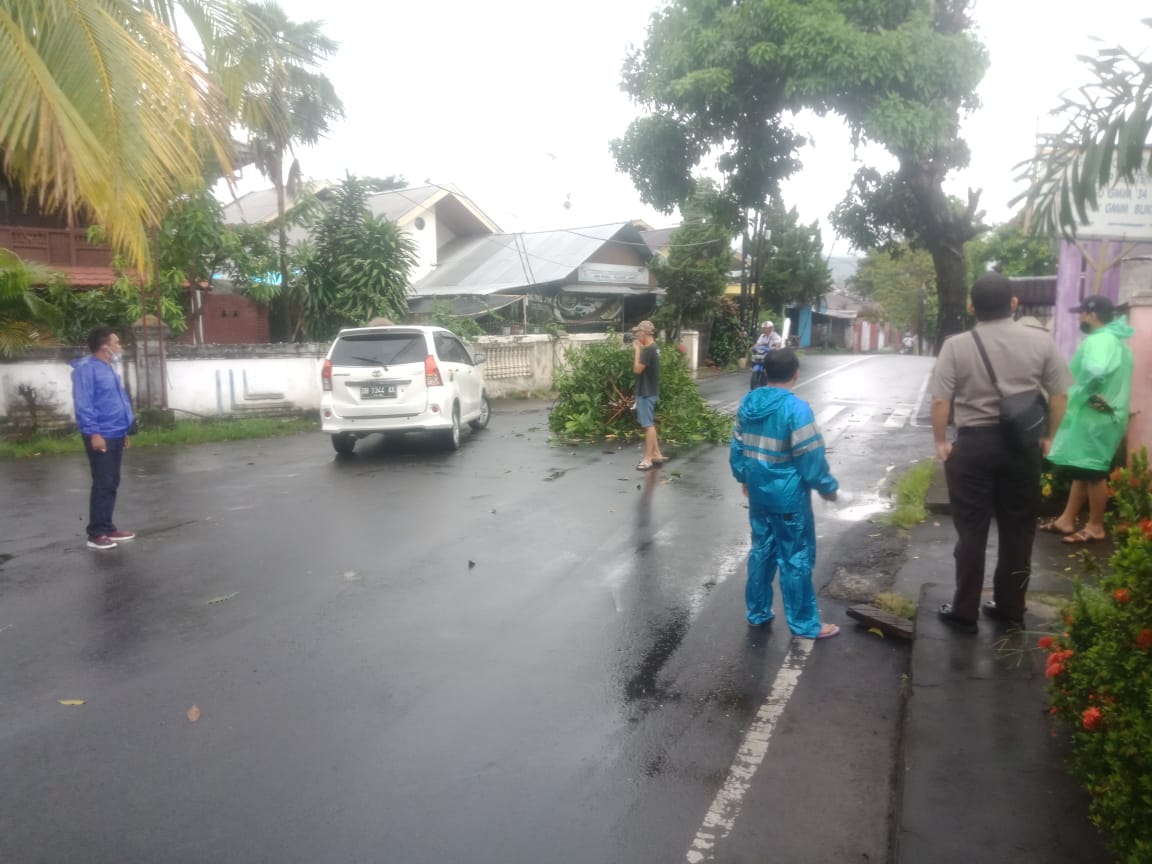 Polisi dan Instansi terkait Respons Cepat, Tangani Pohon Tumbang di Manado