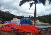 Tambang Emas Ilegal di Talugon Disorot, LAKRI Mendesak Penindakan Tegas