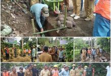 Komitmen Bangun Desa, Bupati Yusra Alhabsyi Tinjau Langsung Pembangunan Jalan Produksi Perkebunan