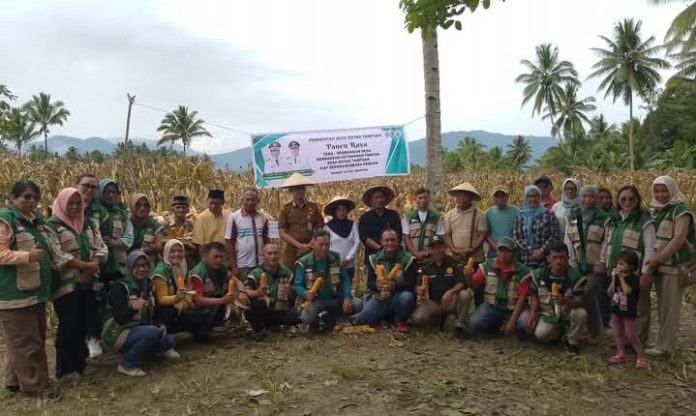 Panen Raya Jagung Moyag Tampoan, Bukti Kuat Sinergi Petani dan BUMDes di Kotamobagu