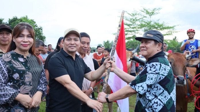 Wabup Dony Lumenta Buka Lomba Karapan Sapi dan Tegaskan Komitmen Lestarikan Budaya Lokal